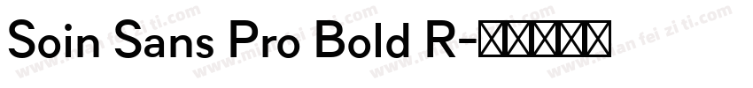 Soin Sans Pro Bold R字体转换